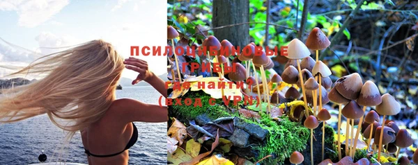 кокаин колумбия Вяземский