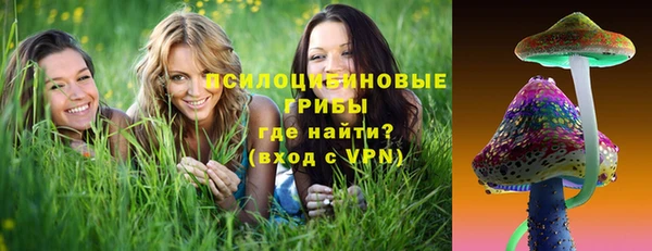 соль ск Вязьма