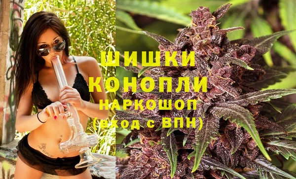 соль ск Вязьма