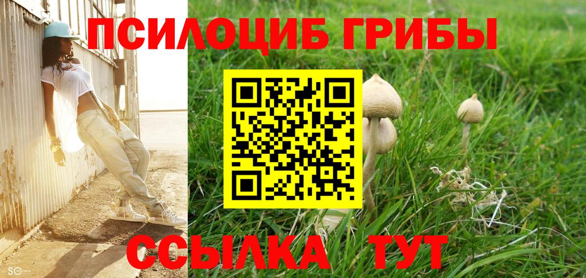 Псилоцибиновые грибы Psilocybe Туапсе