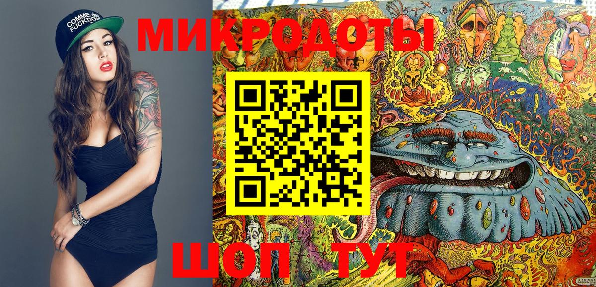 Псилоцибиновые грибы Psilocybe  Псилоцибиновые грибы мицелий  Вход с VPN  Туапсе 